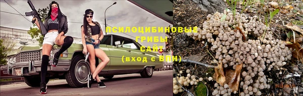 прущая мука Армянск